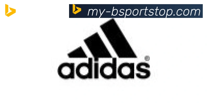 Bsports官网合作伙伴