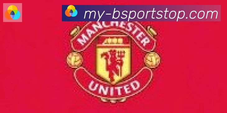 Bsports官网合作伙伴